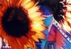 The Sunflower II