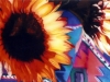 The Sunflower II